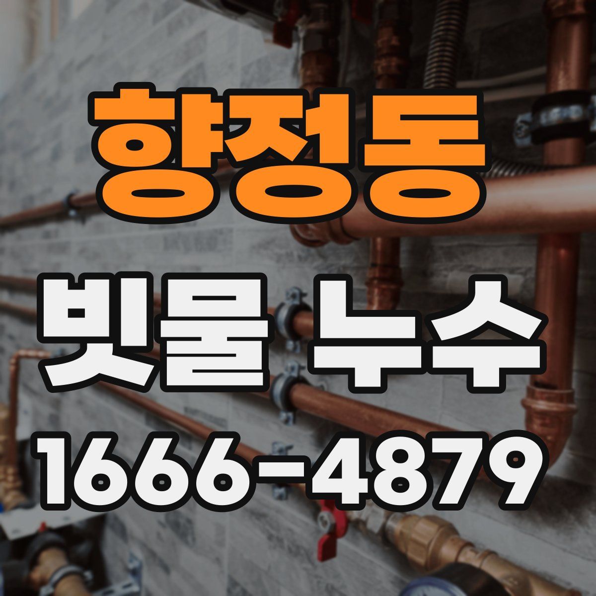 향정동 빗물 누수