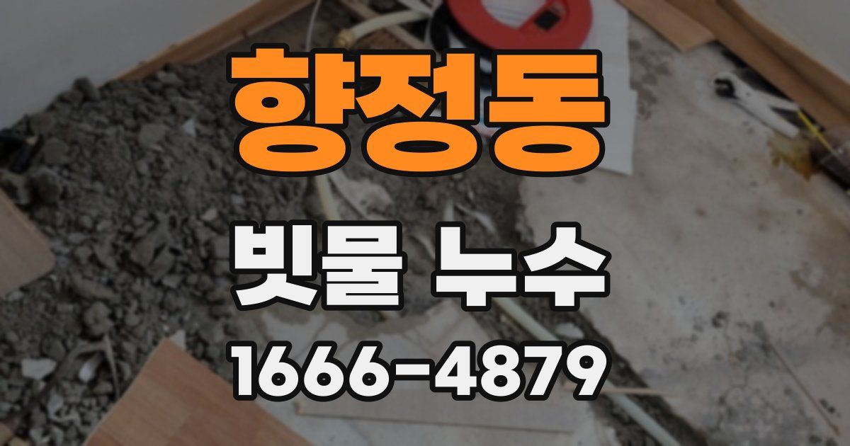향정동 빗물 누수