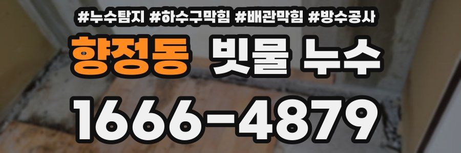 향정동 빗물 누수