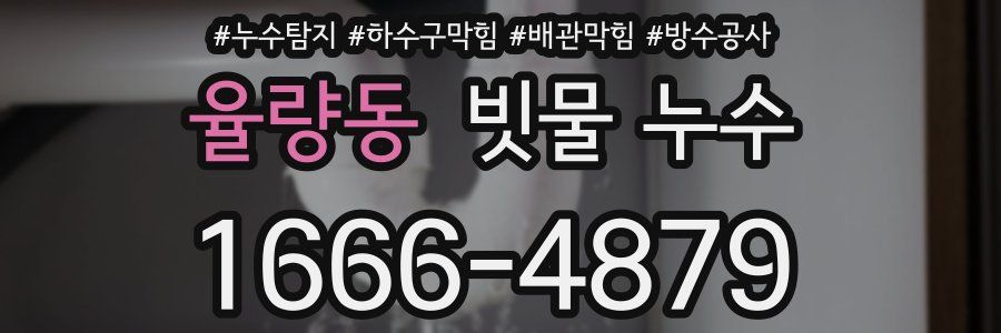 율량동 빗물 누수