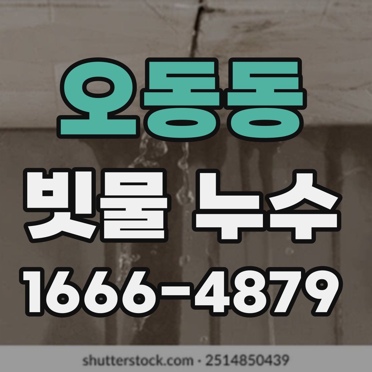 오동동 빗물 누수