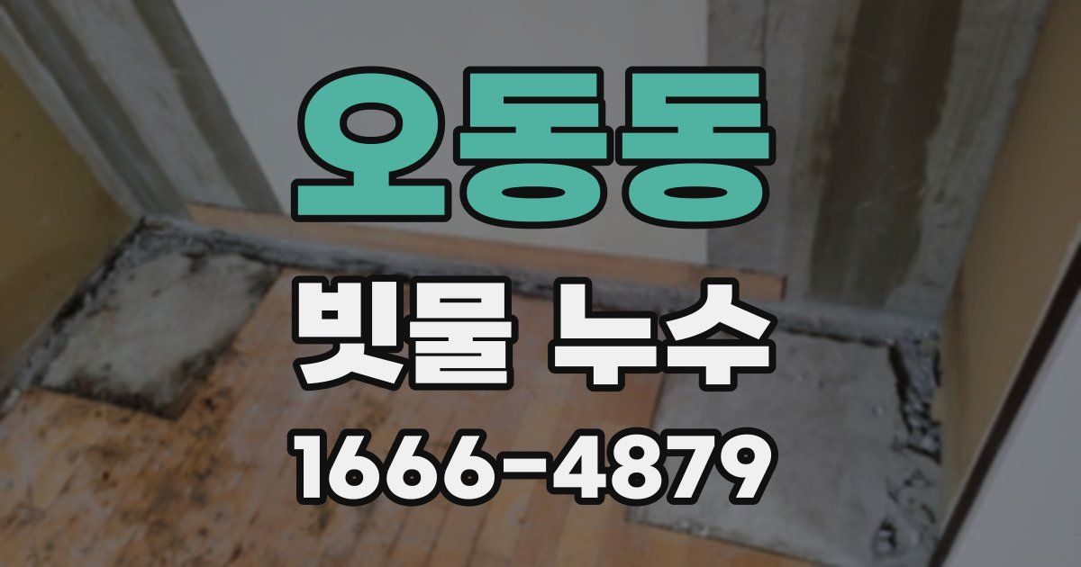 오동동 빗물 누수