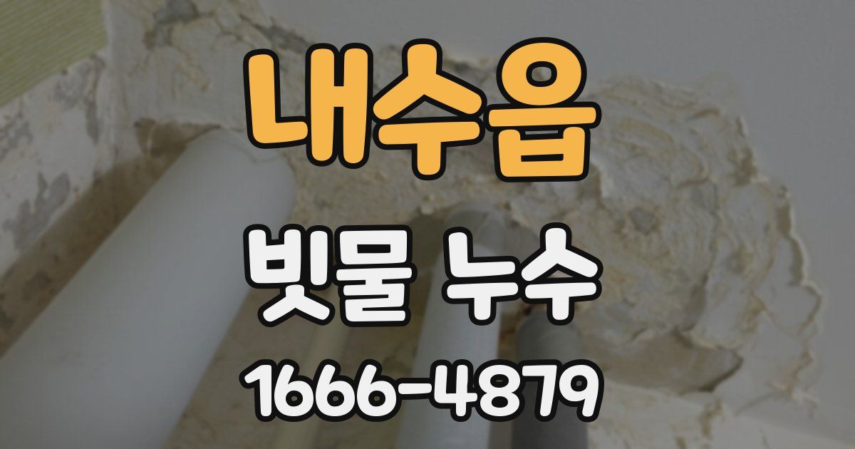내수읍 빗물 누수