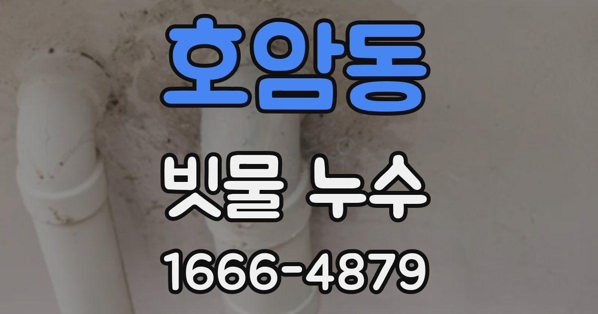 호암동 빗물 누수