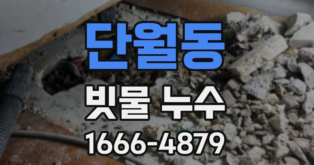 단월동 빗물 누수