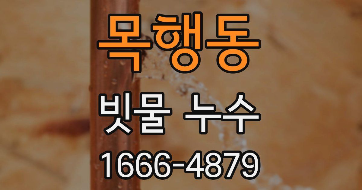 목행동 빗물 누수