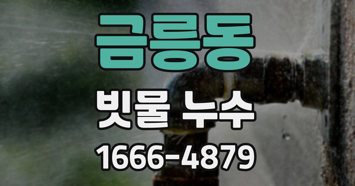금릉동 빗물 누수
