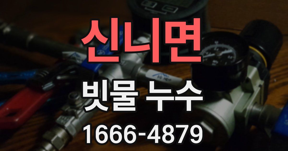 신니면 빗물 누수
