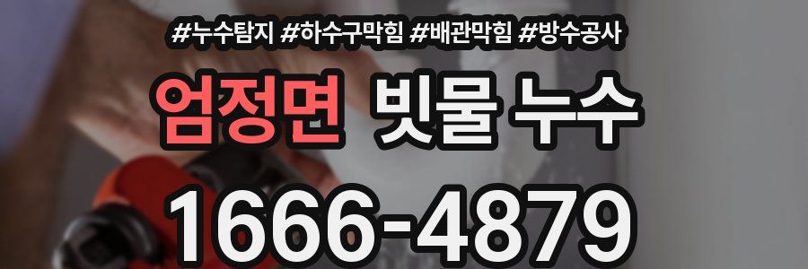 엄정면 빗물 누수