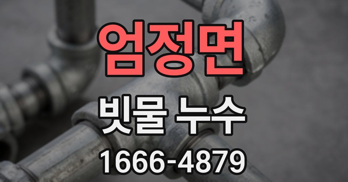 엄정면 빗물 누수