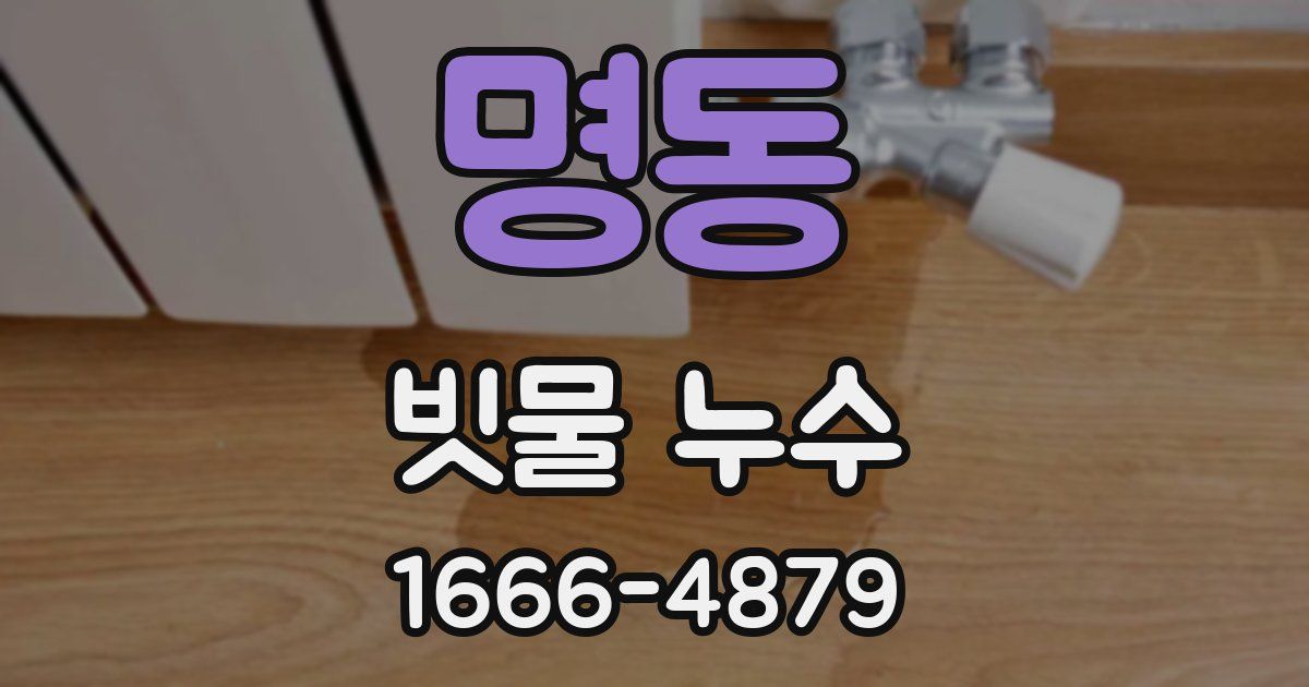 명동 빗물 누수