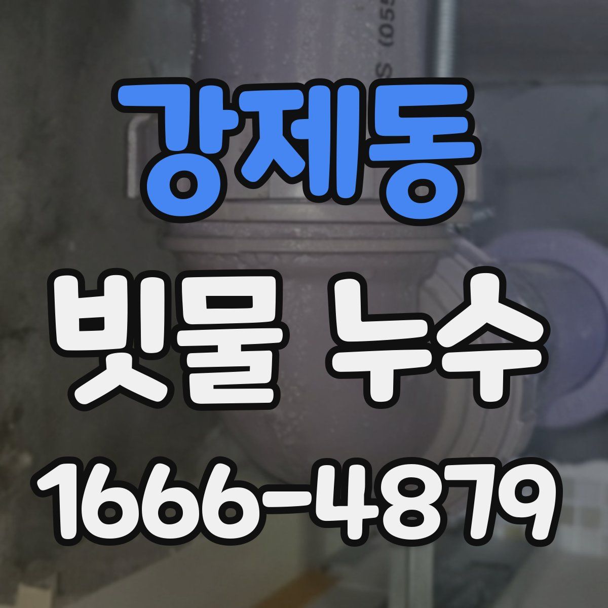 강제동 빗물 누수