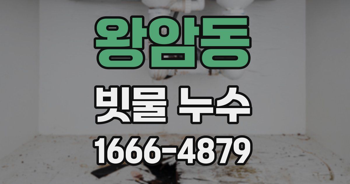 왕암동 빗물 누수