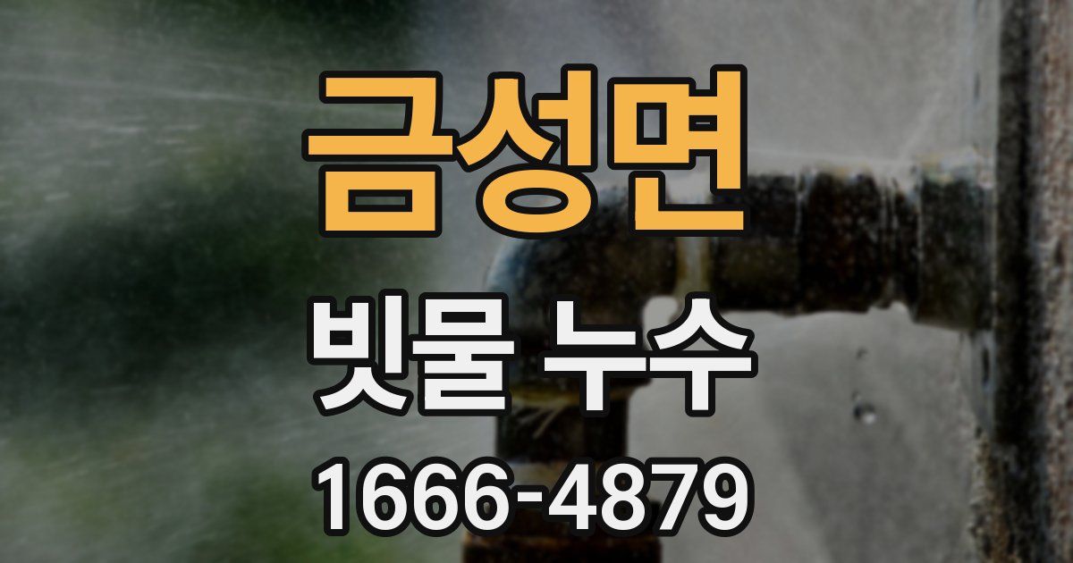 금성면 빗물 누수
