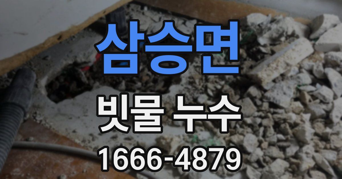 삼승면 빗물 누수