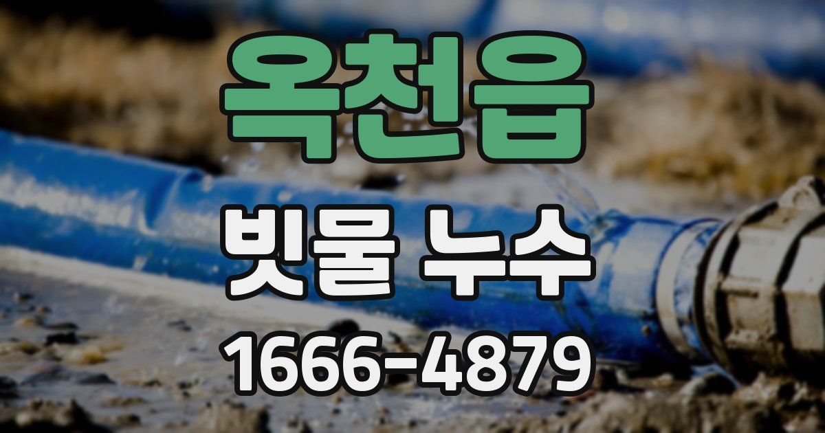옥천읍 빗물 누수
