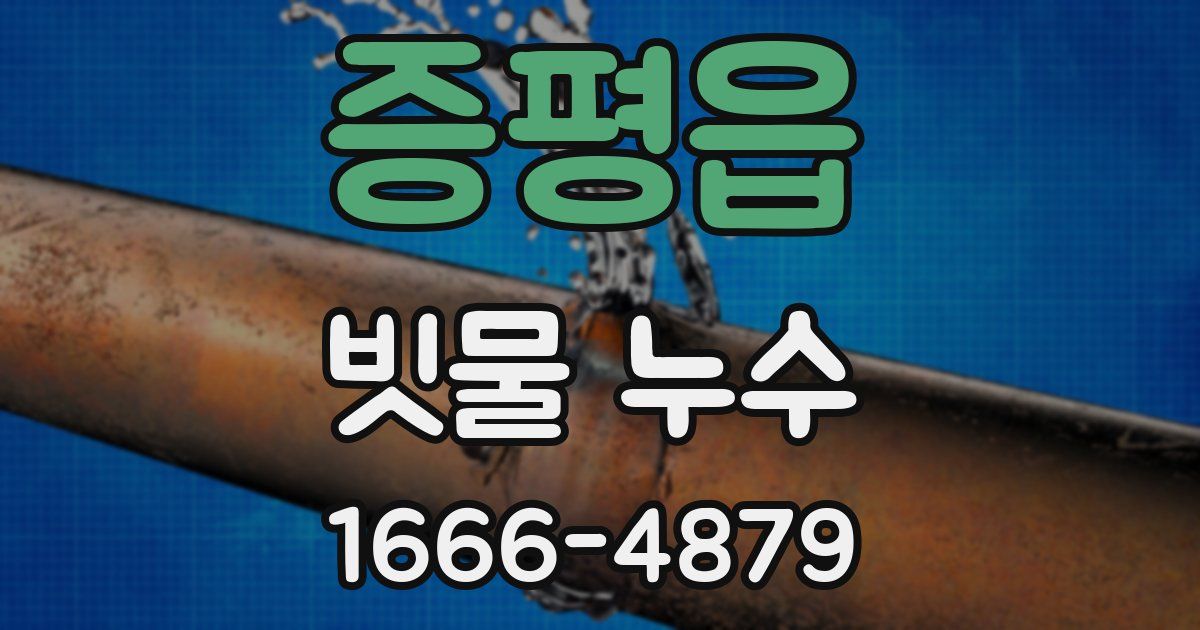 증평읍 빗물 누수