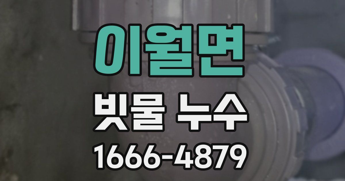 이월면 빗물 누수