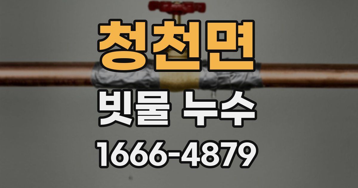 청천면 빗물 누수