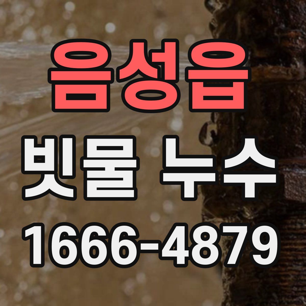 음성읍 빗물 누수