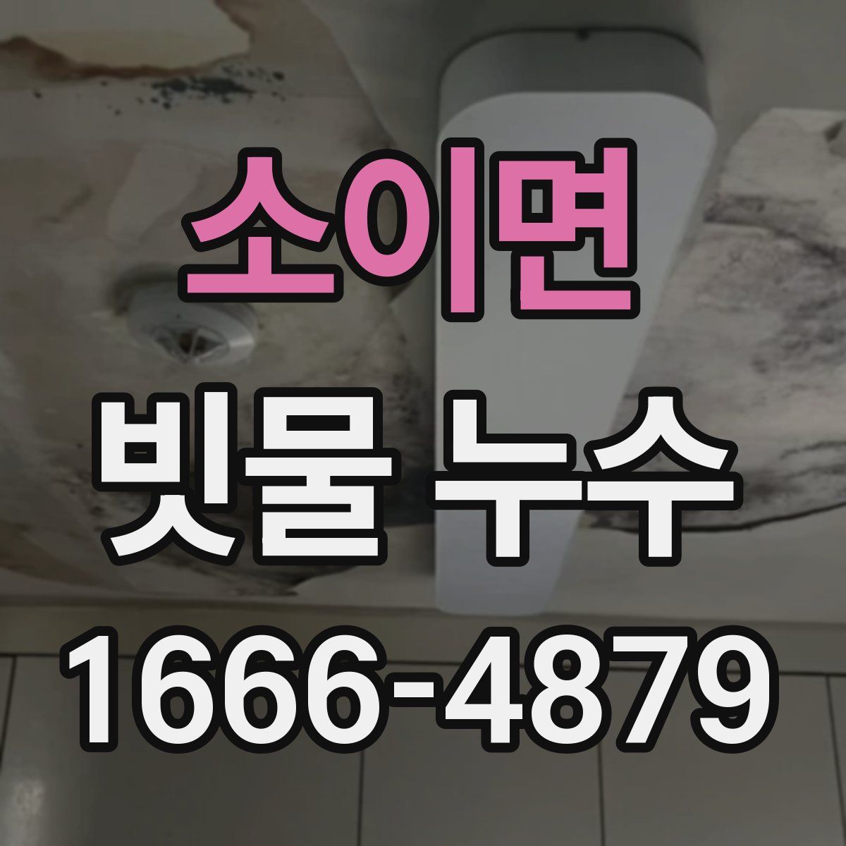 소이면 빗물 누수