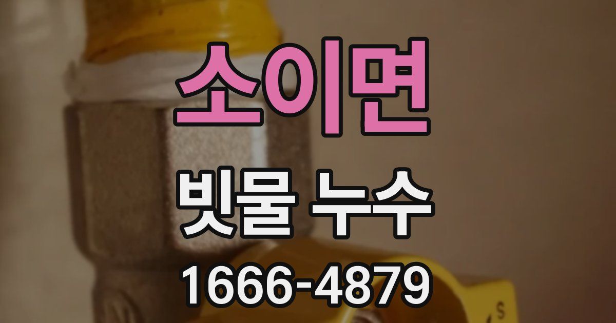 소이면 빗물 누수