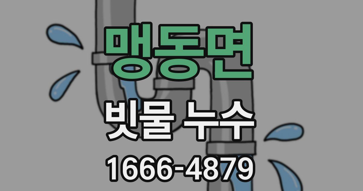 맹동면 빗물 누수