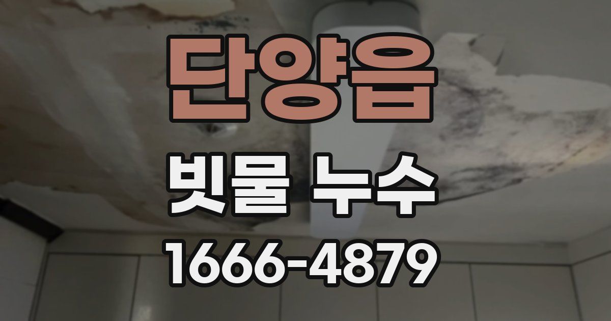 단양읍 빗물 누수