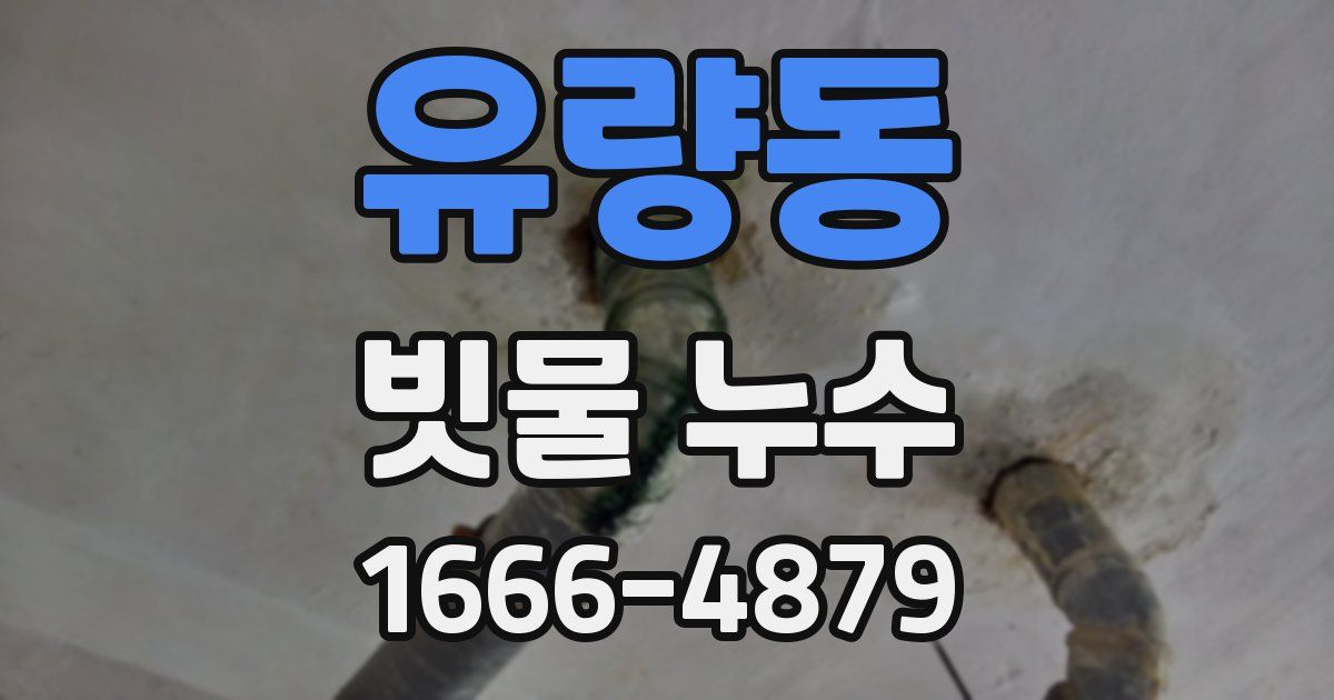 유량동 빗물 누수