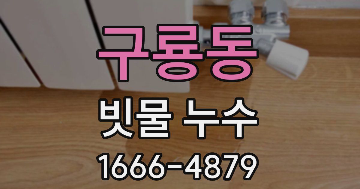 구룡동 빗물 누수