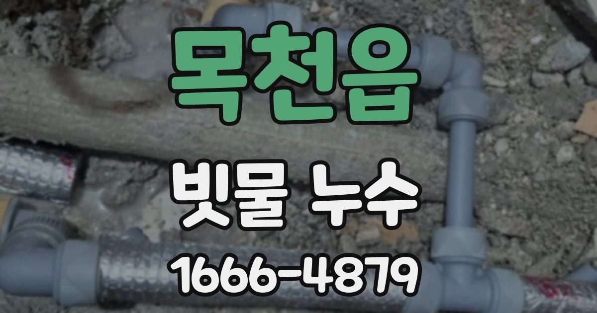 목천읍 빗물 누수