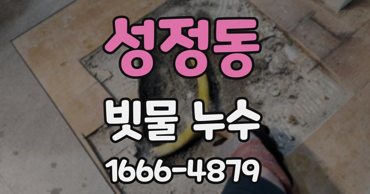 성정동 빗물 누수