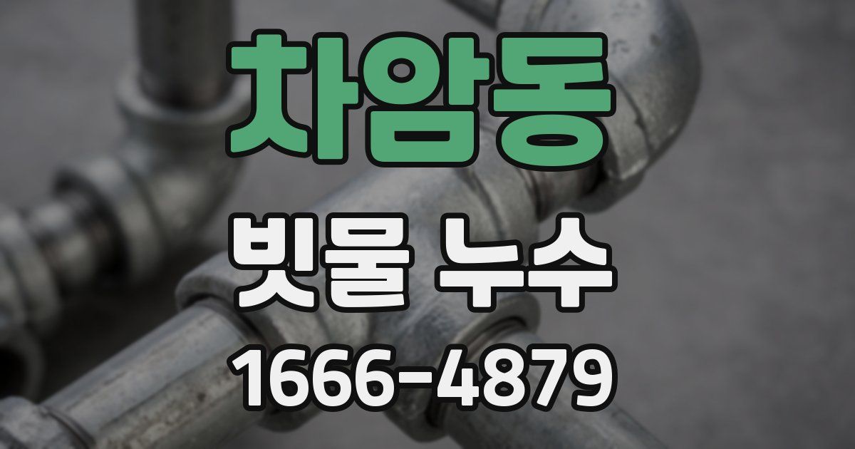 차암동 빗물 누수