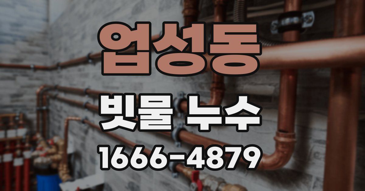 업성동 빗물 누수