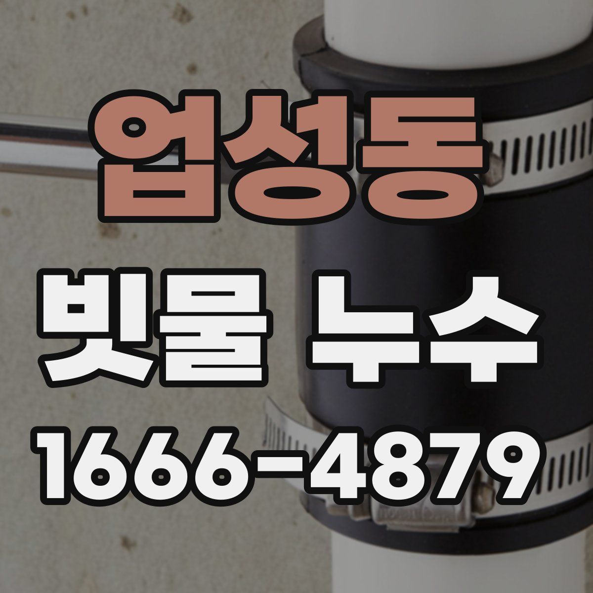 업성동 빗물 누수