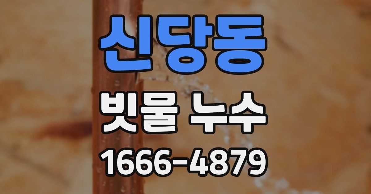 신당동 빗물 누수