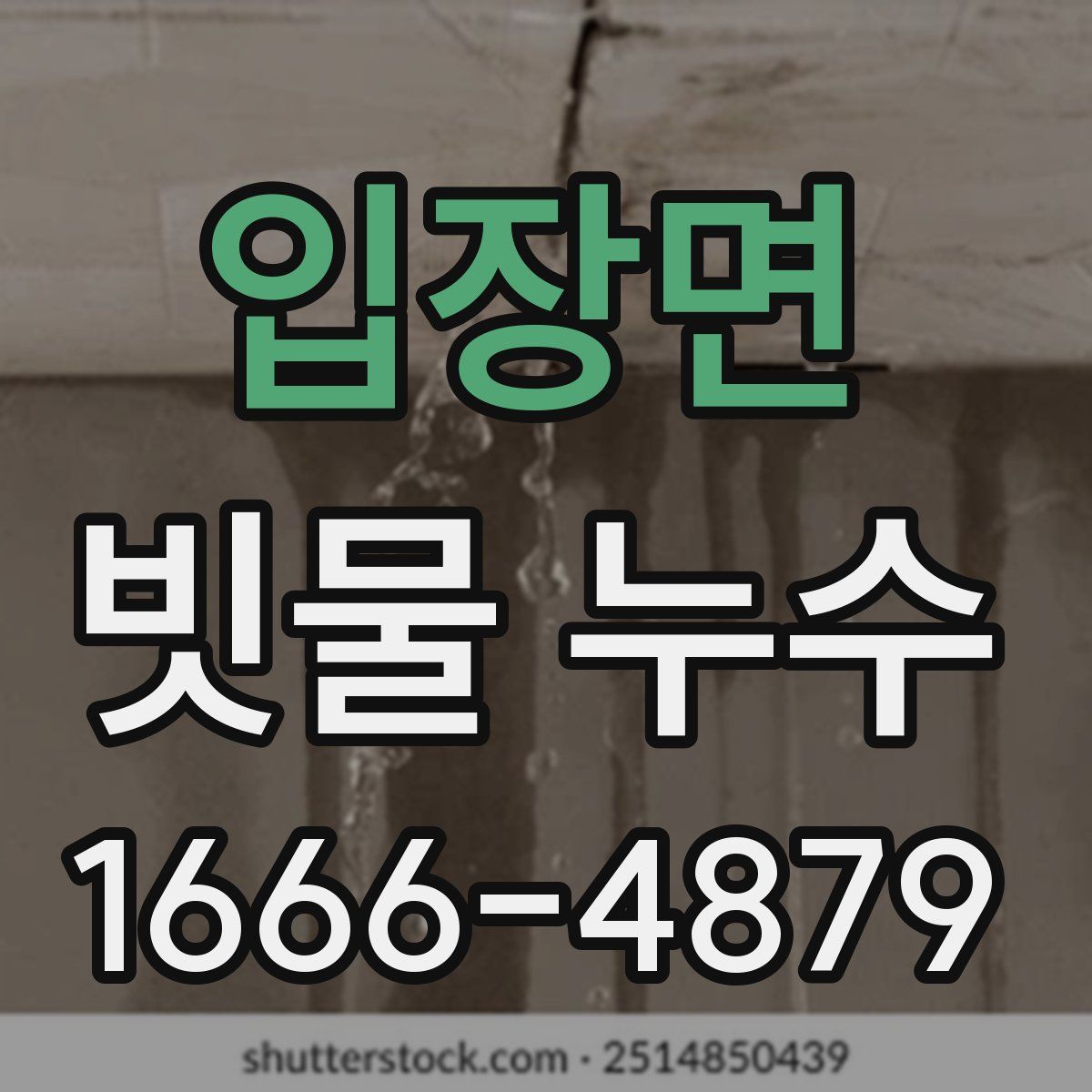 입장면 빗물 누수