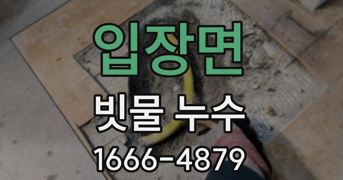 입장면 빗물 누수