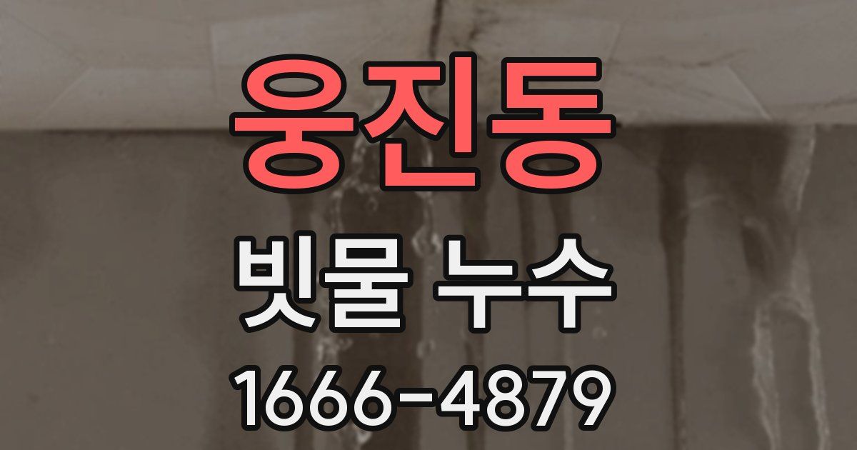 웅진동 빗물 누수