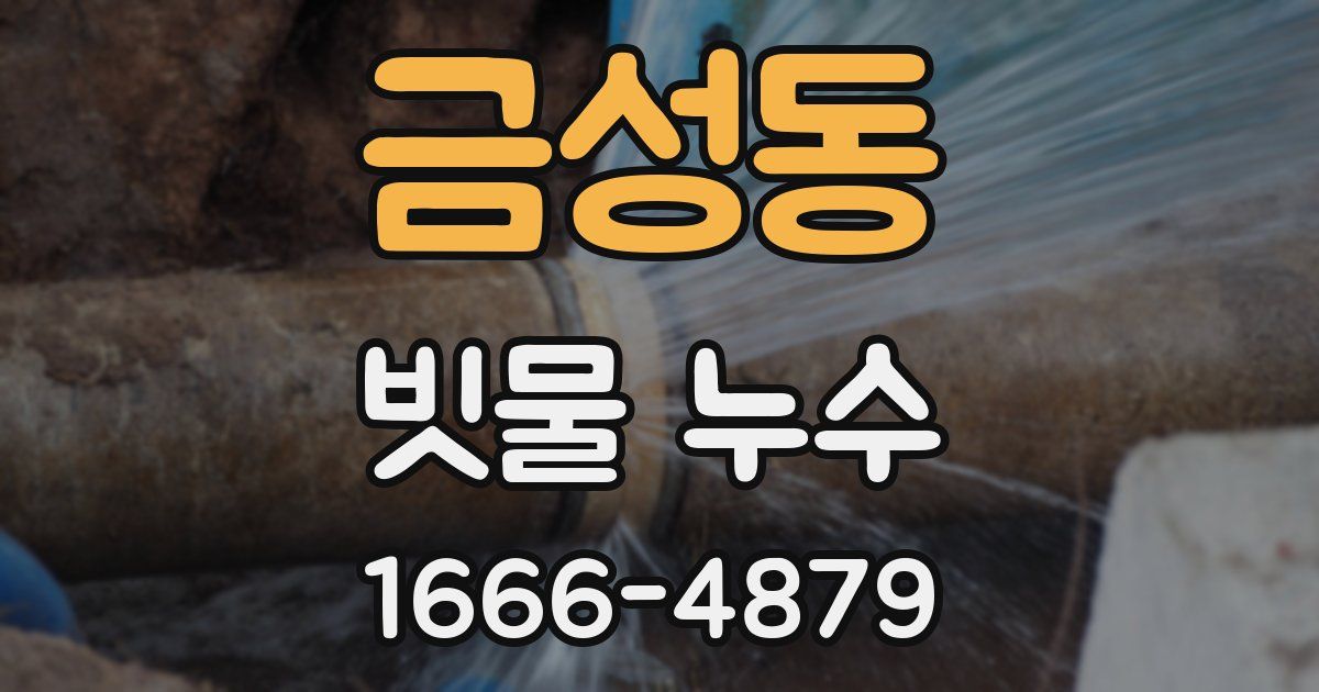 금성동 빗물 누수