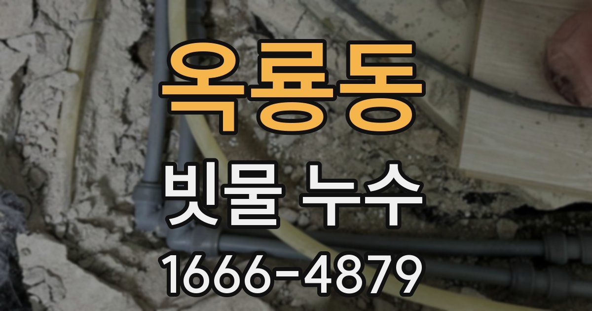 옥룡동 빗물 누수