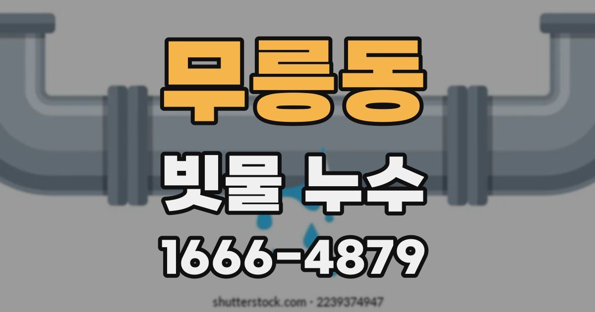 무릉동 빗물 누수