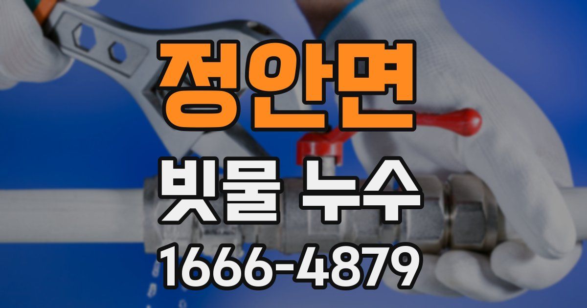 정안면 빗물 누수