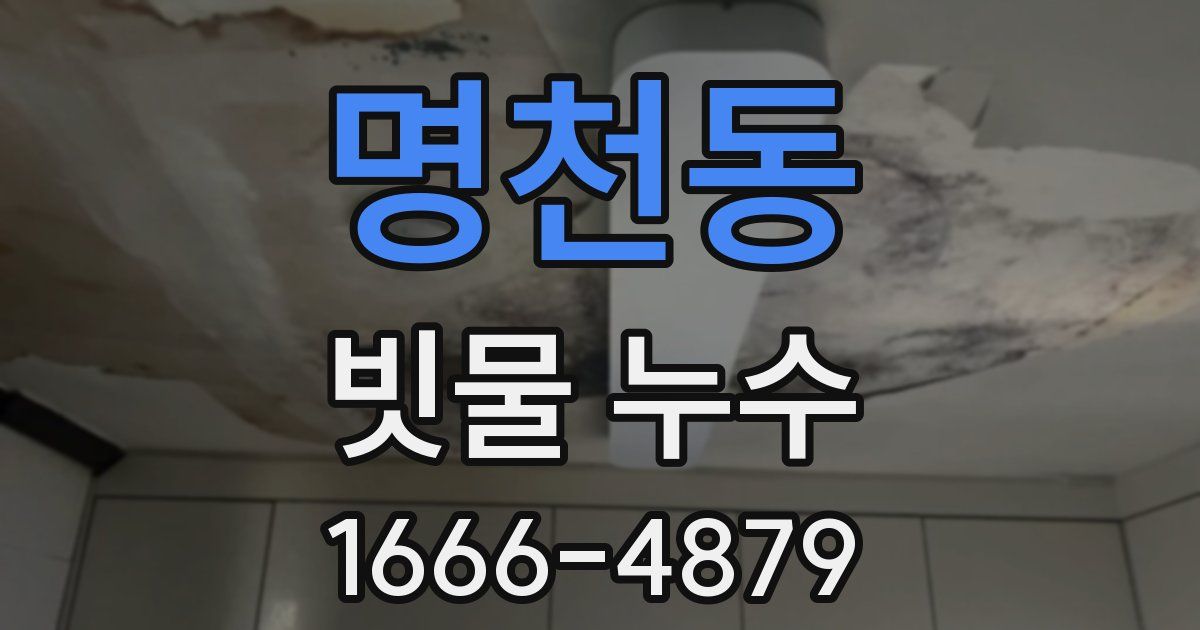 명천동 빗물 누수