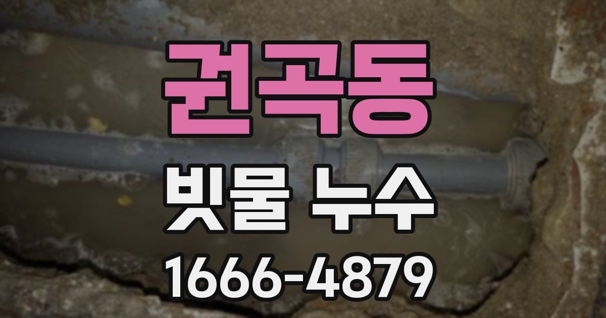 권곡동 빗물 누수