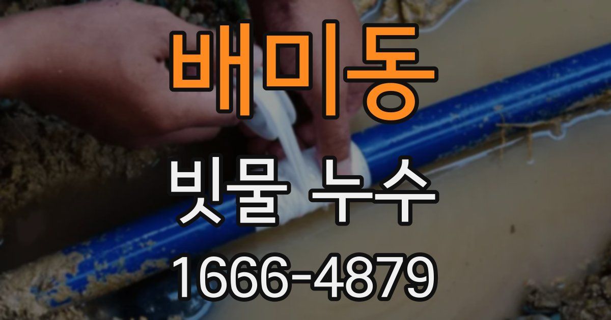 배미동 빗물 누수