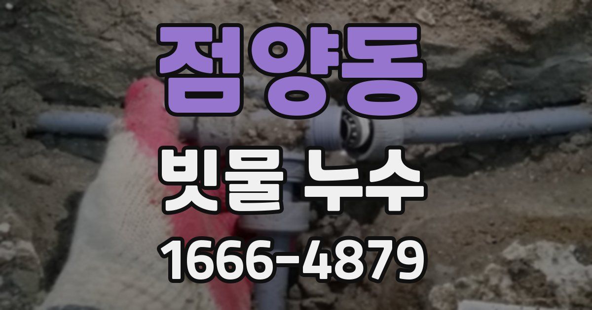 점양동 빗물 누수