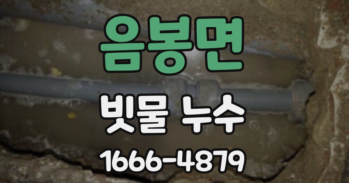 음봉면 빗물 누수