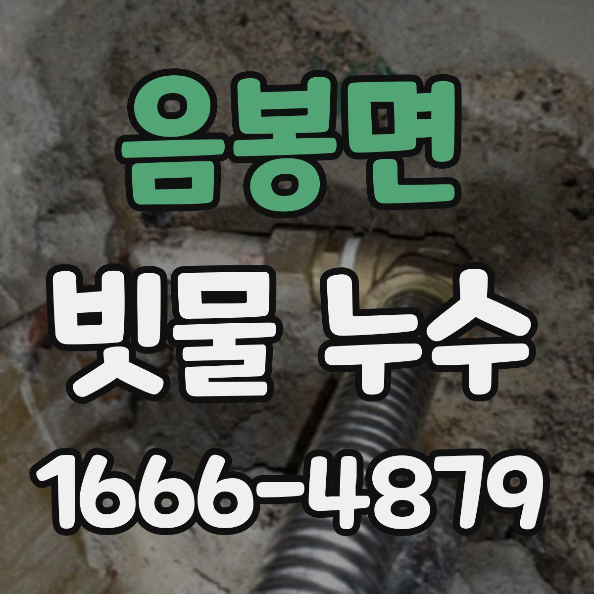 음봉면 빗물 누수