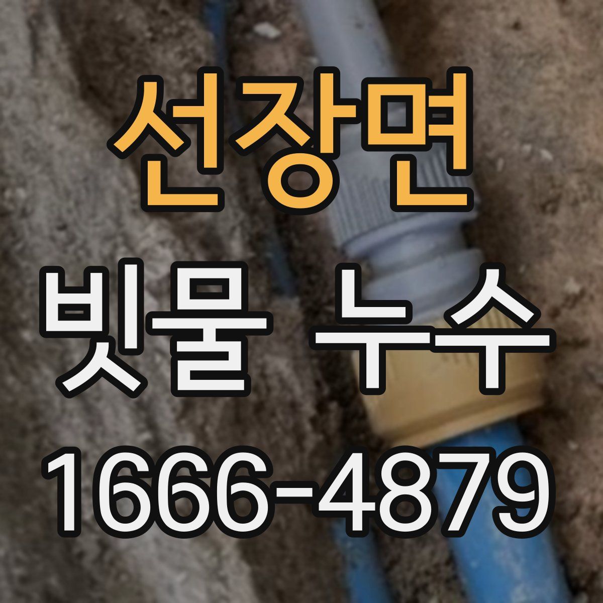 선장면 빗물 누수